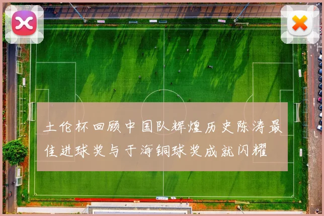 土伦杯回顾中国队辉煌历史陈涛最佳进球奖与于海铜球奖成就闪耀